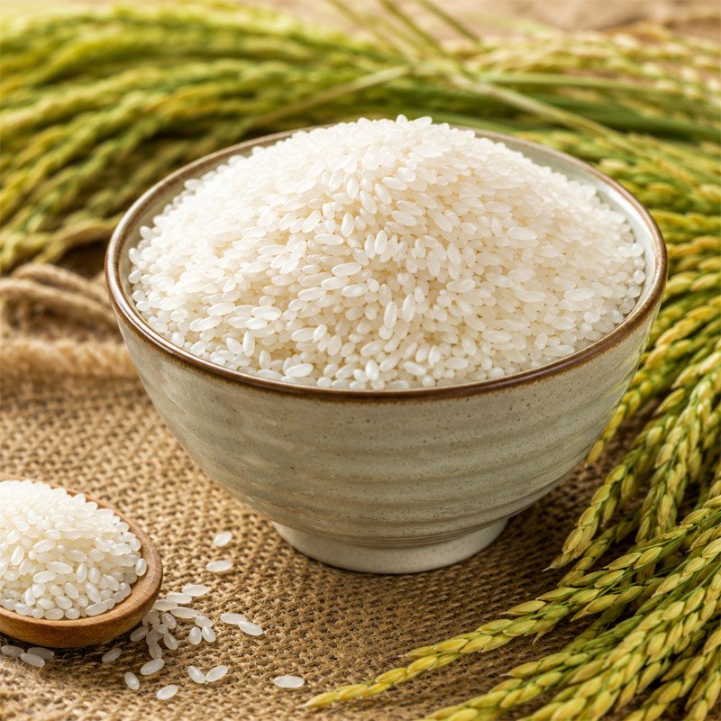 Gạo Lúa Tôm