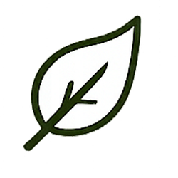 lá