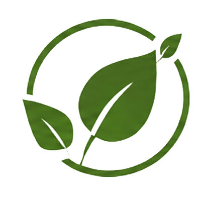 icon2